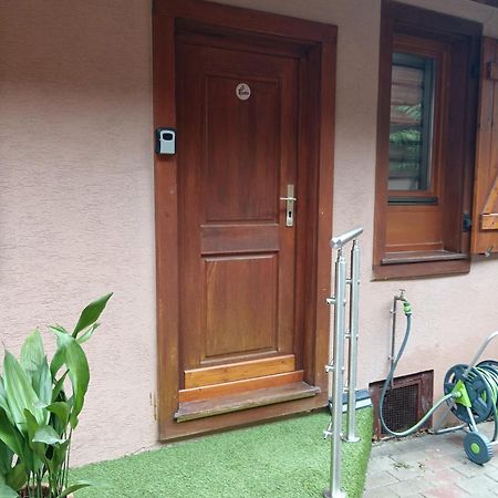 Passage Des Romains Studio Horbourg Exterior photo
